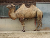 s_IMGP0353s.png